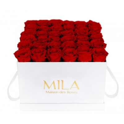 Produit Mila-Roses-00294 Mila Classic Luxe White - Rouge Amour