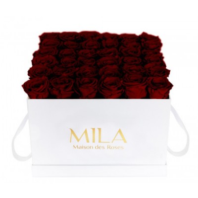 Produit Mila-Roses-00295 Mila Classic Luxe White - Rubis Rouge