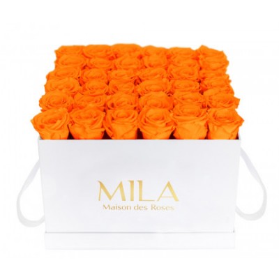 Produit Mila-Roses-00296 Mila Classic Luxe White - Orange Bloom