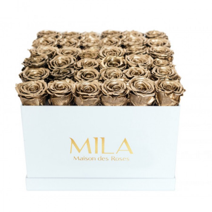 Mila Classic Luxe White - Metallic Gold