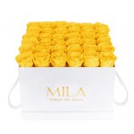  Mila-Roses-00301 Mila Classic Luxe White - Yellow Sunshine