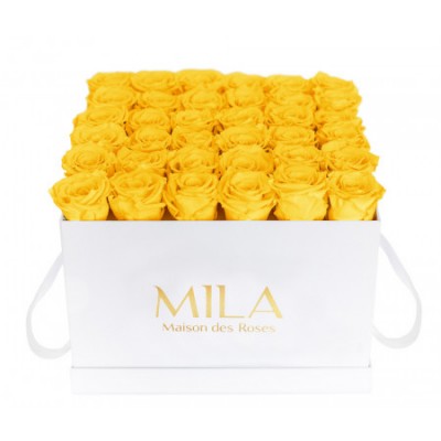 Produit Mila-Roses-00301 Mila Classic Luxe White - Yellow Sunshine