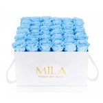  Mila-Roses-00302 Mila Classic Luxe White - Baby blue