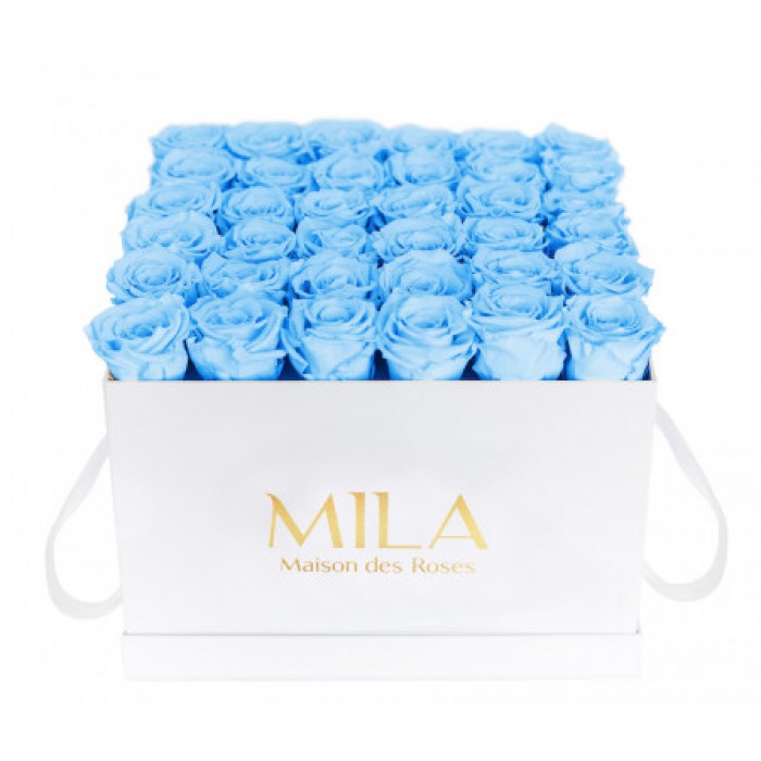 Mila Classic Luxe White - Baby blue
