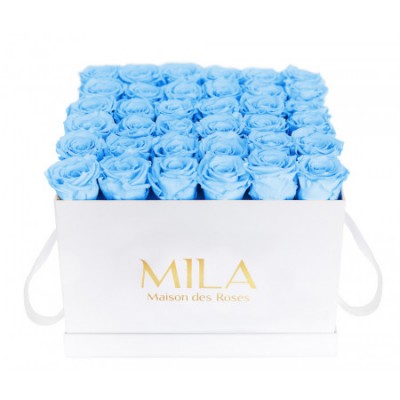 Produit Mila-Roses-00302 Mila Classic Luxe White - Baby blue