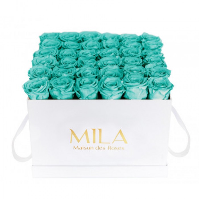 Mila Classic Luxe White - Aquamarine