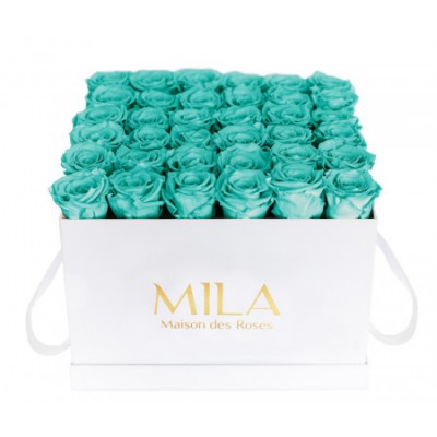 Produit Mila-Roses-00303 Mila Classic Luxe White - Aquamarine