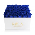  Mila-Roses-00304 Mila Classic Luxe White - Royal blue
