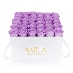  Mila-Roses-00305 Mila Classic Luxe White - Lavender