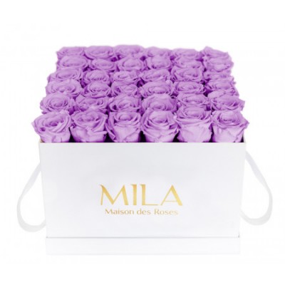 Produit Mila-Roses-00305 Mila Classic Luxe White - Lavender