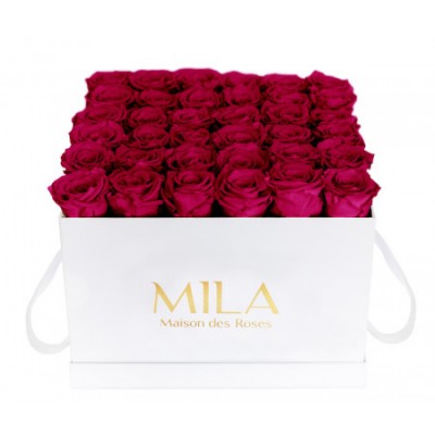 Produit Mila-Roses-00309 Mila Classic Luxe White - Fuchsia