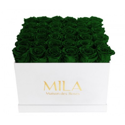 Produit Mila-Roses-00310 Mila Classic Luxe White - Emeraude