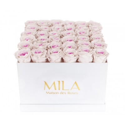 Produit Mila-Roses-00311 Mila Classic Luxe White - Pink bottom