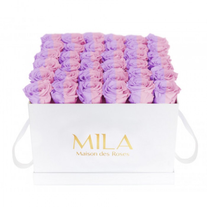 Mila Classic Luxe White - Vintage rose