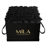  Mila-Roses-00313 Mila Classic Luxe Black - Black Velvet