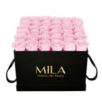  Mila-Roses-00316 Mila Classic Luxe Black - Pink Blush