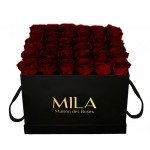  Mila-Roses-00319 Mila Classic Luxe Black - Rubis Rouge