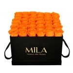  Mila-Roses-00320 Mila Classic Luxe Black - Orange Bloom