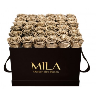 Produit Mila-Roses-00322 Mila Classic Luxe Black - Metallic Gold
