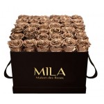 Mila-Roses-00324 Mila Classic Luxe Black - Metallic Copper