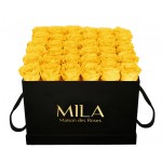  Mila-Roses-00325 Mila Classic Luxe Black - Yellow Sunshine
