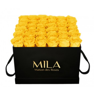 Produit Mila-Roses-00325 Mila Classic Luxe Black - Yellow Sunshine