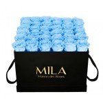  Mila-Roses-00326 Mila Classic Luxe Black - Baby blue