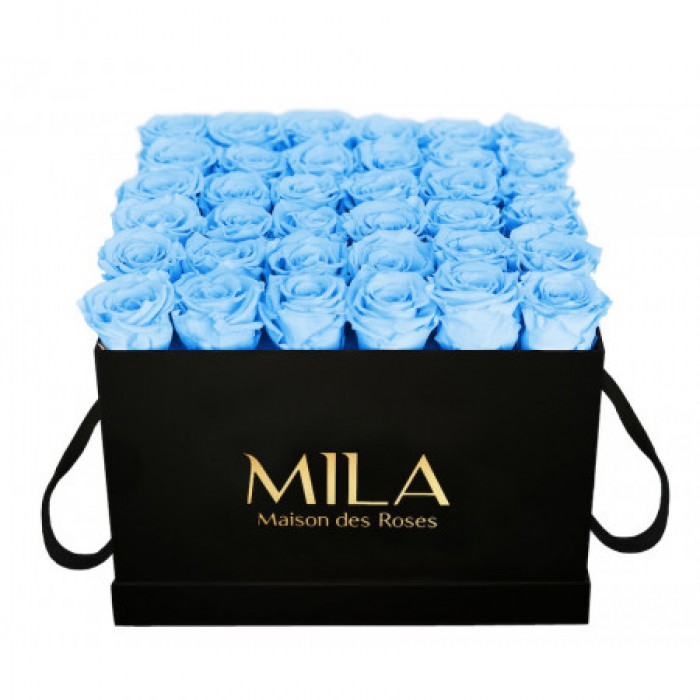 Mila Classic Luxe Black - Baby blue