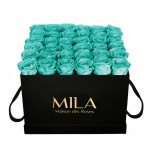  Mila-Roses-00327 Mila Classic Luxe Black - Aquamarine