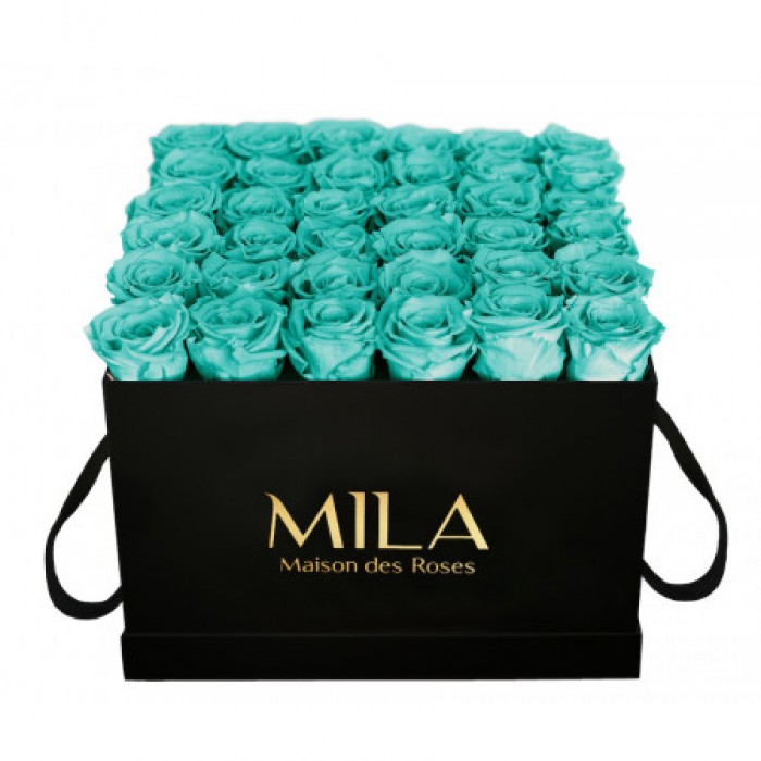 Mila Classic Luxe Black - Aquamarine