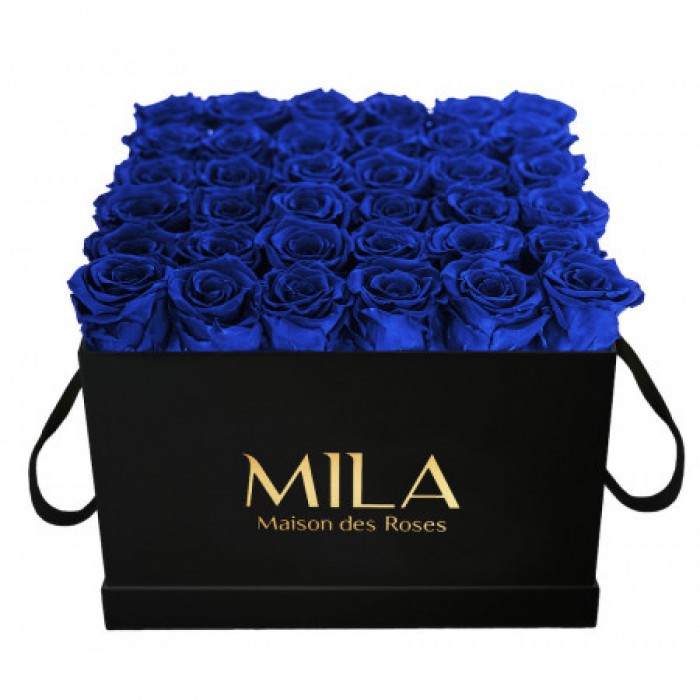 Mila Classic Luxe Black - Royal blue