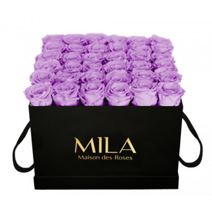 Mila Classic Luxe Black - Lavender