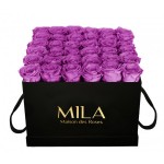  Mila-Roses-00330 Mila Classic Luxe Black - Mauve