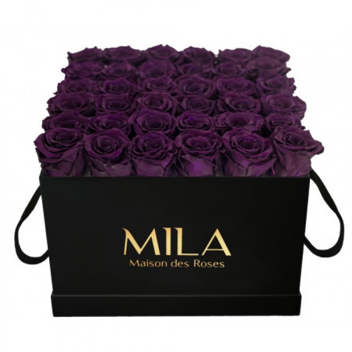 Mila Classic Luxe Black - Velvet purple