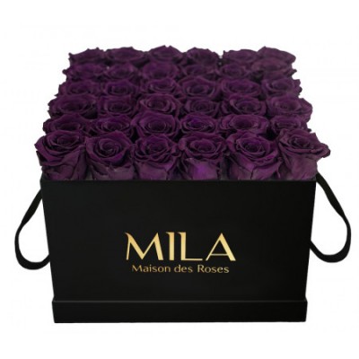 Produit Mila-Roses-00332 Mila Classic Luxe Black - Velvet purple