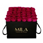  Mila-Roses-00333 Mila Classic Luxe Black - Fuchsia