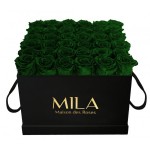  Mila-Roses-00334 Mila Classic Luxe Black - Emeraude
