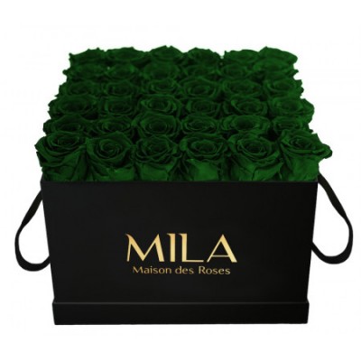 Produit Mila-Roses-00334 Mila Classic Luxe Black - Emeraude