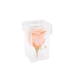  Mila-Roses-00461 Mila Acrylic Single Stem - Pure Peach