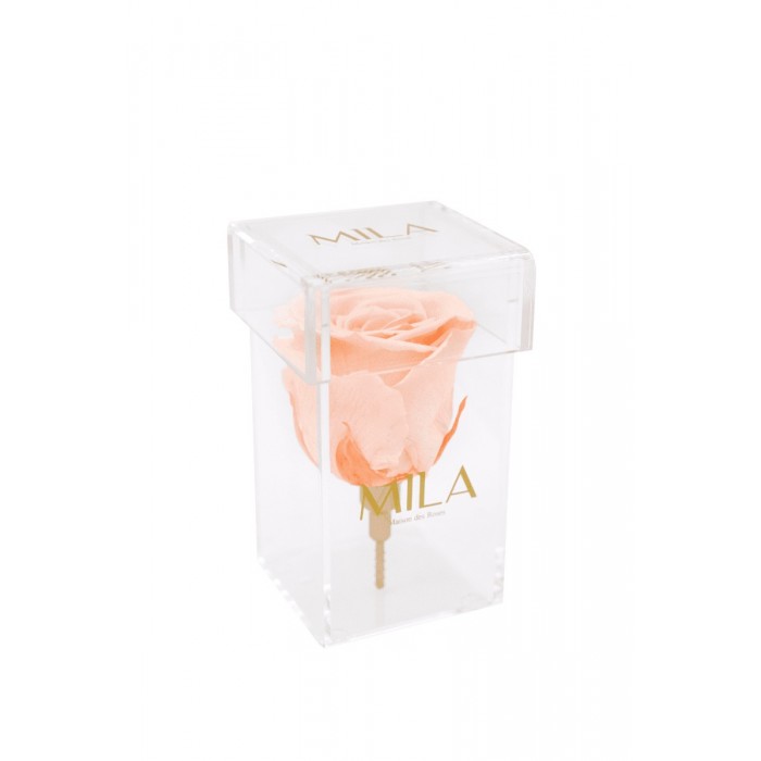 Mila Acrylic Single Stem - Pure Peach