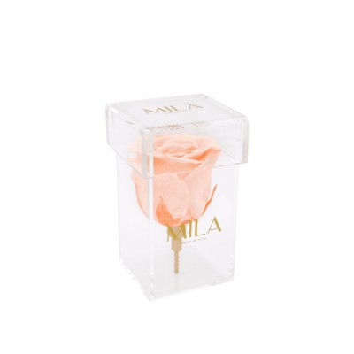 Produit Mila-Roses-00461 Mila Acrylic Single Stem - Pure Peach