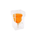  Mila-Roses-00464 Mila Acrylic Single Stem - Orange Bloom