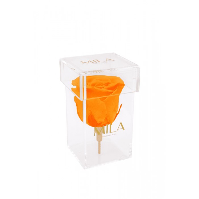 Mila Acrylic Single Stem - Orange Bloom