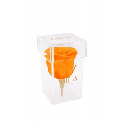 Produit Mila-Roses-00464 Mila Acrylic Single Stem - Orange Bloom