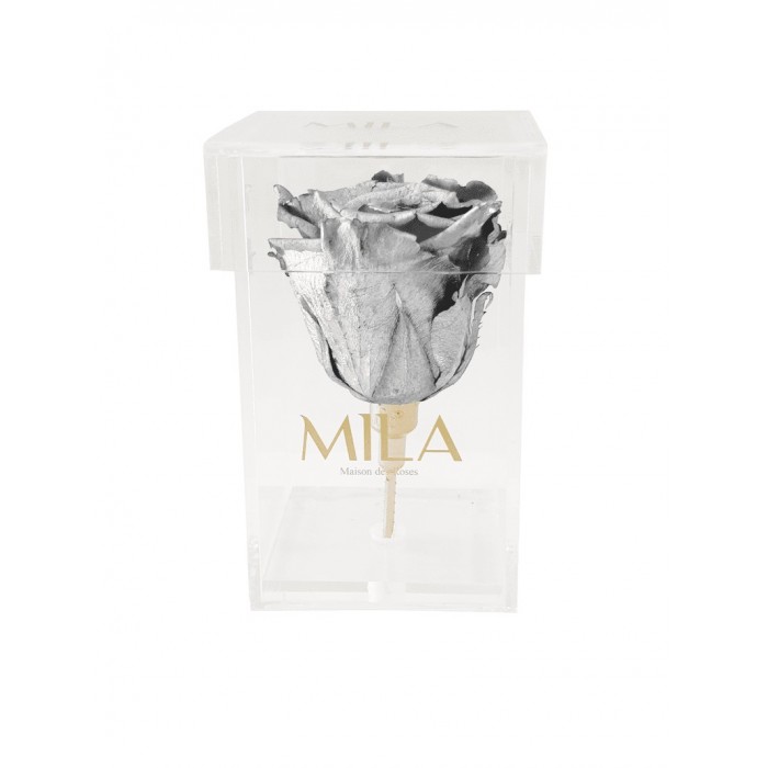 Mila Acrylic Single Stem - Metallic Silver