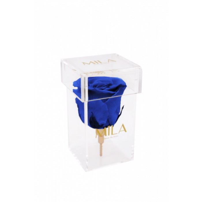Mila Acrylic Single Stem - Royal blue