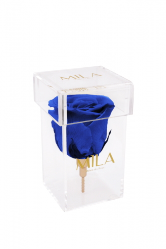 Produit Mila-Roses-00472 Mila Acrylic Single Stem - Royal blue
