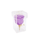  Mila-Roses-00473 Mila Acrylic Single Stem - Lavender