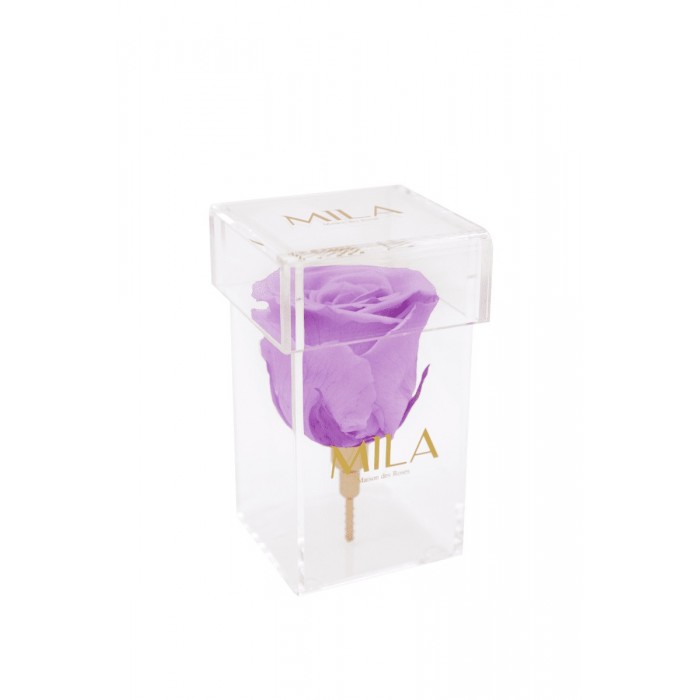 Mila Acrylic Single Stem - Lavender