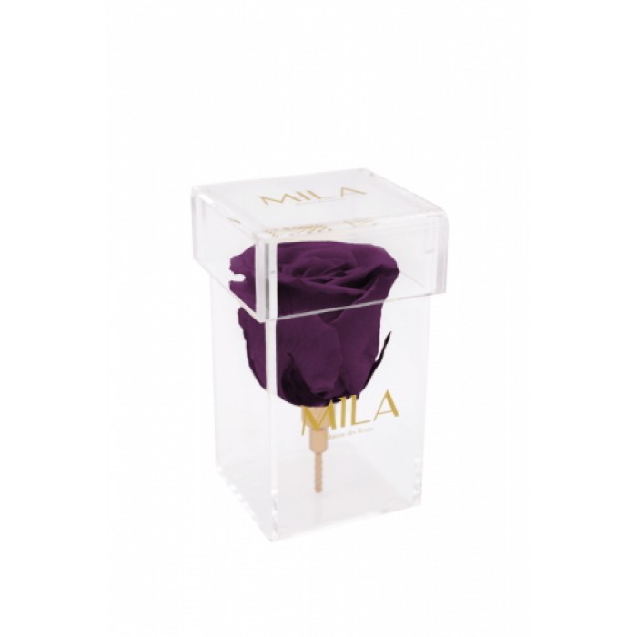 Mila Acrylic Single Stem - Velvet purple